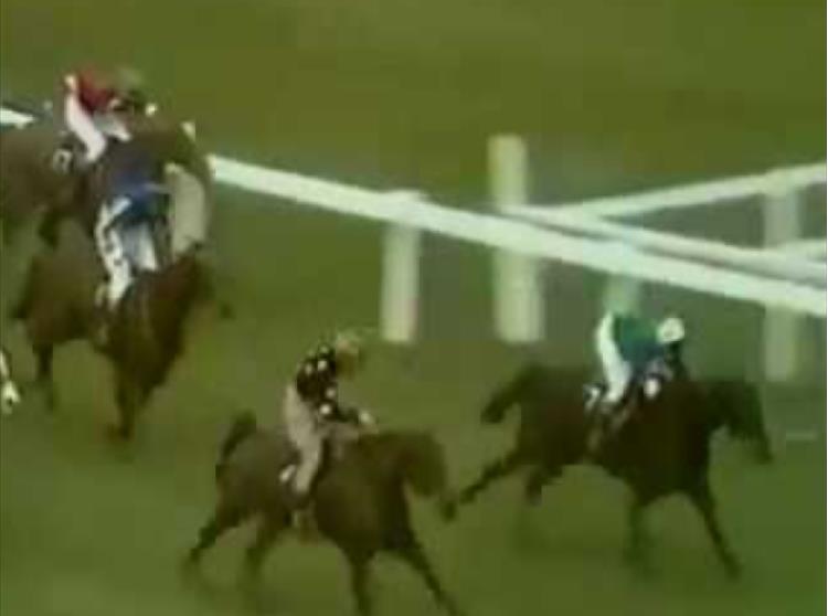 Ridden by John Cook, Specify was the last of a group of five horses who jumped the final Grand National fence in unison...