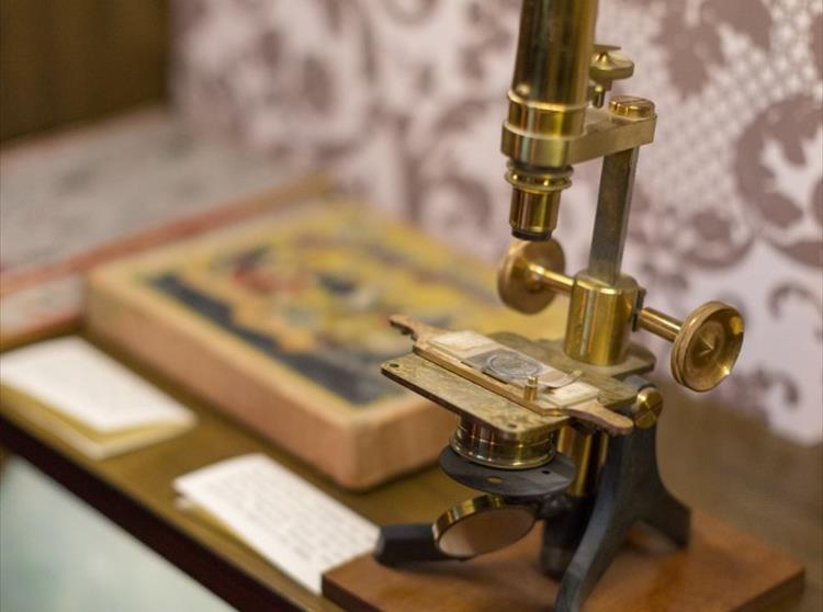 Amongst the many objects on display at Farringford, is Tennyson’s Microscope - tucked in a cabinet in the schoolroom...