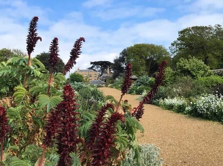 Spring is always a busy time for us in the garden here at Farringford